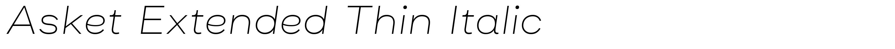 Asket Extended Thin Italic